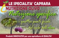 2020.10 - PROGRAMMA OLIVO - CONSIGLI NUTRIZIONE OLIVO CAPRARA