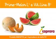 2022.05 - MELONE E COCOMERO: GRANDI RISULTATI