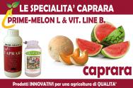 2023.05 - MELONE E COCOMERO: GRANDI RISULTATI