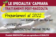 2021.09 - TRATTAMENTI NUTRIZIONE POST-RACCOLTA: PREPARIAMOCI AL 2022